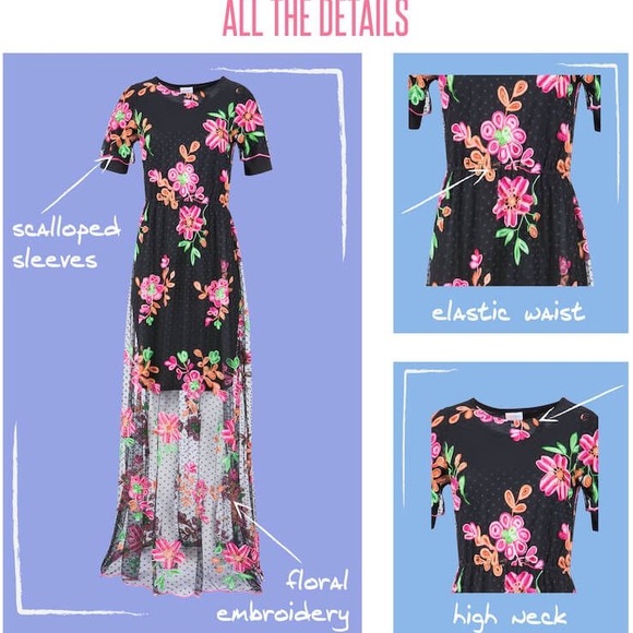 Beautiful Sheer Overlay Dress - Picture 6 of 11